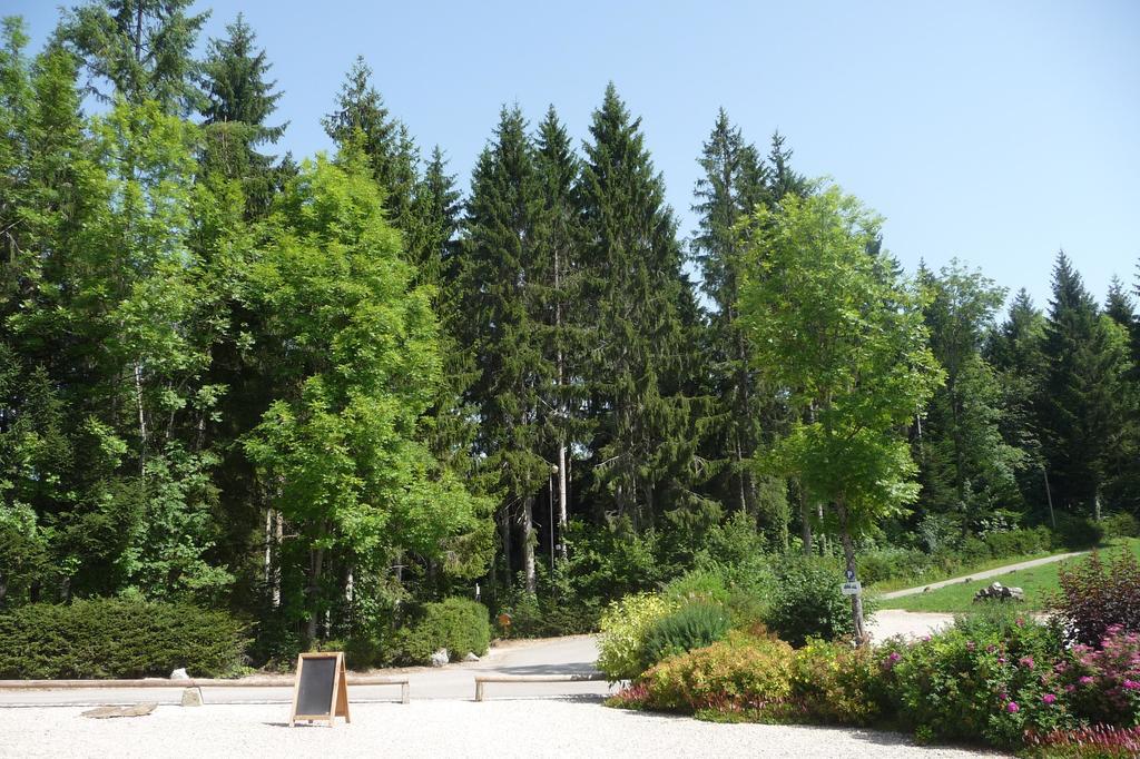 Domaine De La Sapiniere Hotell Thorens-Glières Exteriör bild